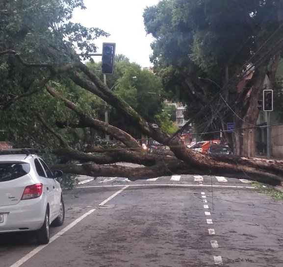 Queda de árvore e poste no Centro (Foto: Reprodução/ Twitter/ @OperacoesRio)