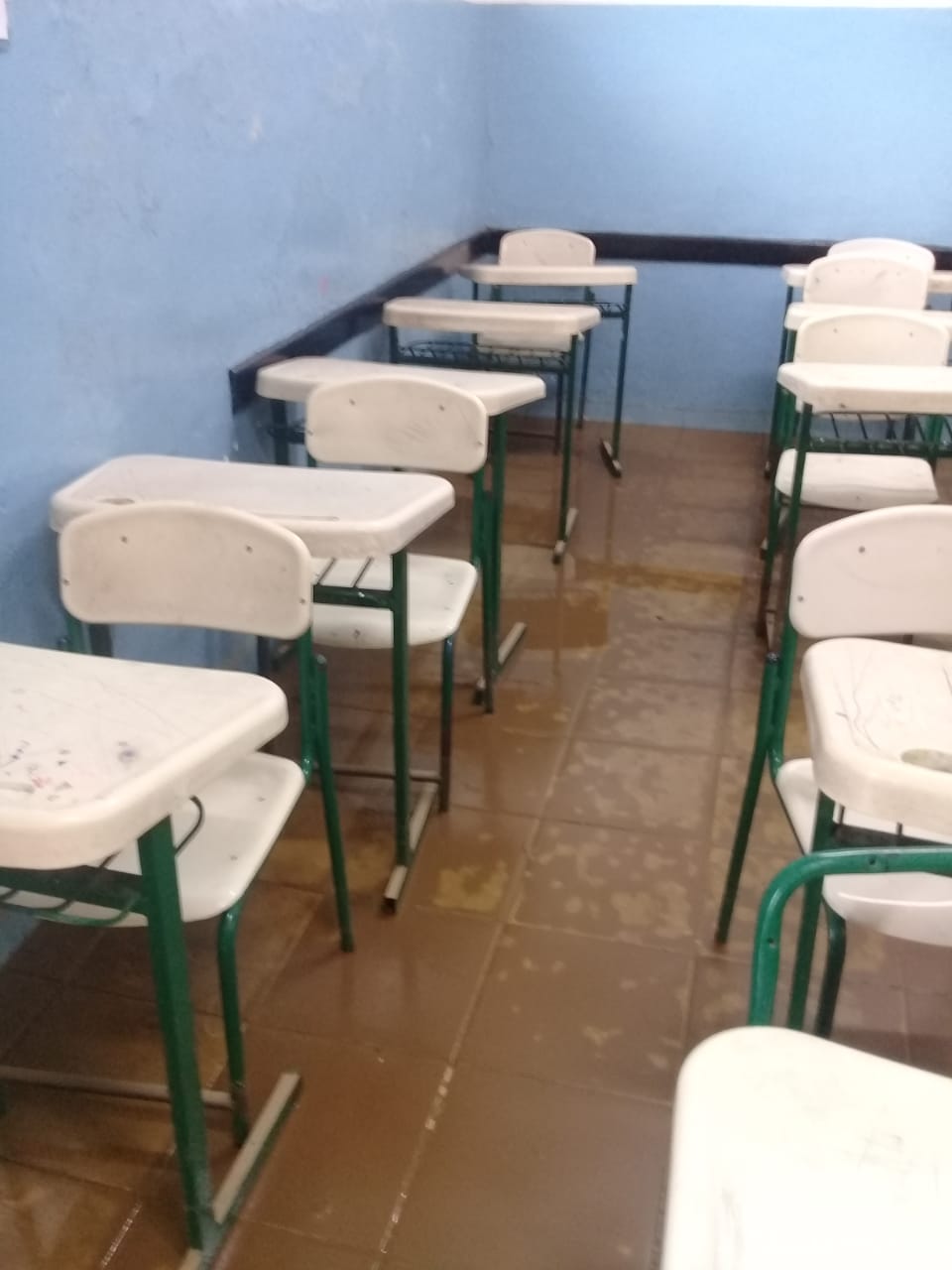Lama estava também na sala de aula (Foto: Elizangela Pampolim)