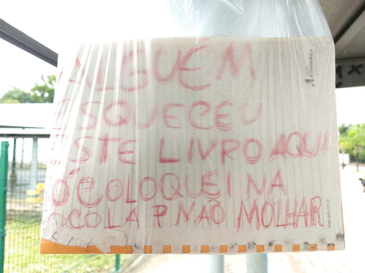 (Foto: Divulgação/Whatsapp)