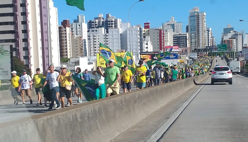 Manifestantes caminham pela Terceira Ponte na tarde deste domingo (Foto: Paulo Domiciano / Compartilhado via WhatsApp)