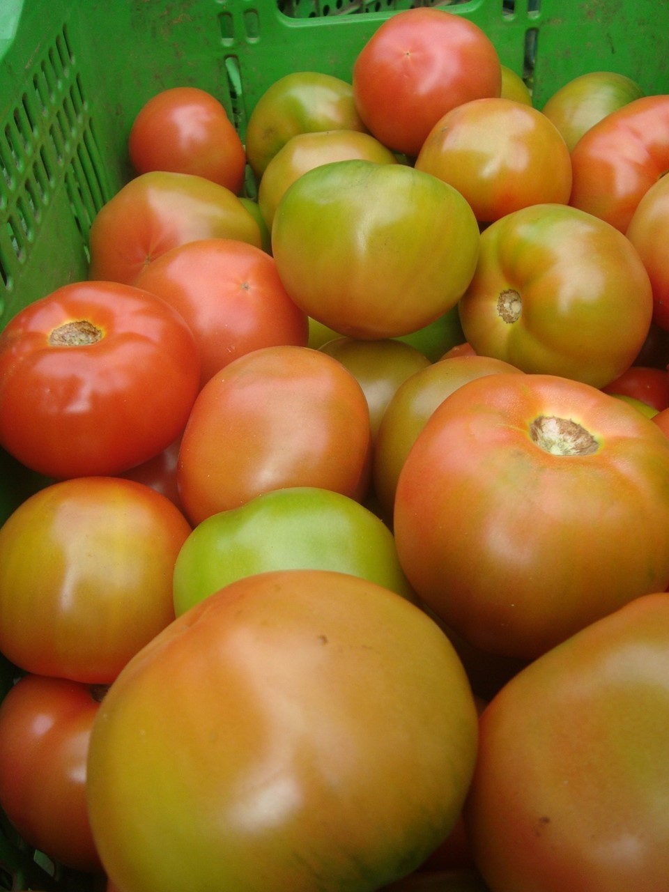 Preço da fruta disparou e o quilo chega a custar R$ 10 (Foto: Divulgação / Ceasa)