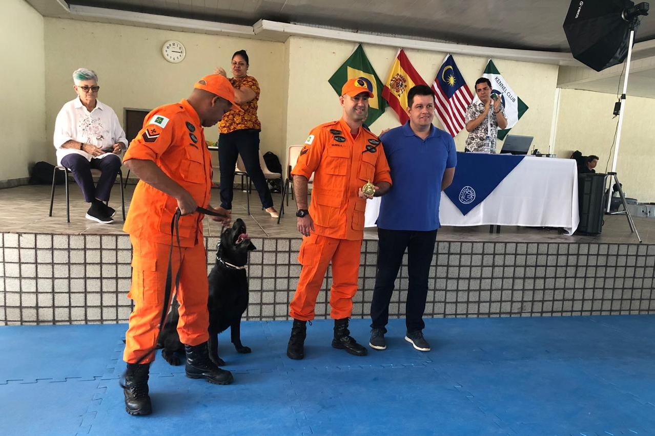 Labrador ganhou até medalha (Foto: Divulgação/ Corpo de Bombeiros Militar do Distrito Federal)