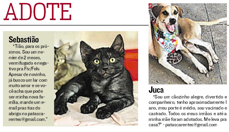 (Foto: Reprodução Jornal A Tribuna)