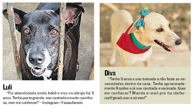(Foto: Reprodução Jornal A Tribuna)