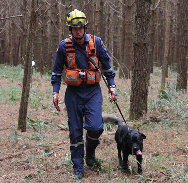 O cão morreu no dia 3 de maio (Foto: Divulgação/Corpo de Bombeiros)