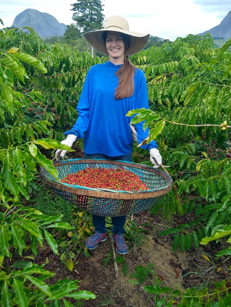 A estudante de educação física, Beatriz Rossow, mostra como é a rotina da colheita de café (Foto: Acervo Pessoal)