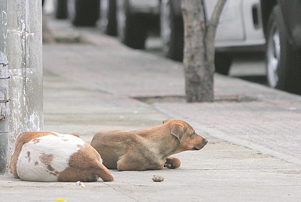 (Foto: Dayana Souza/AT)