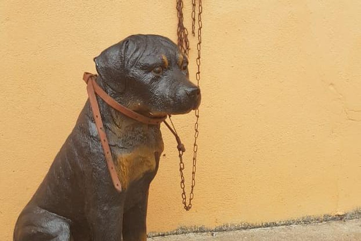 (Foto: Polícia Militar do Meio Ambiente)