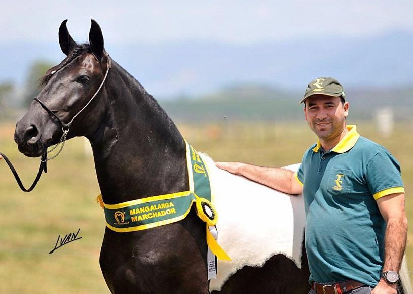 Na foto, o cavalo da raça Mangalarga Marchador, chamado Estilo do Coronel e seu tutor, Leandro Figueiredo (Foto: Divulgação)