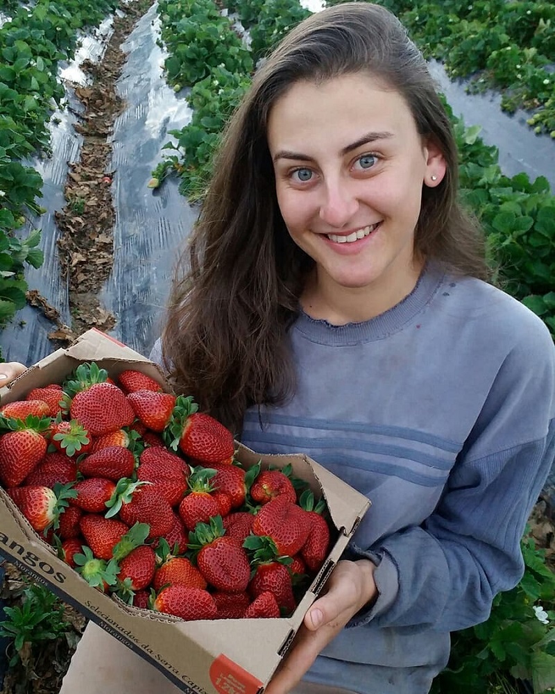 Jamila mostra a colheita de morango em seu sítio (Foto: Acervo Pessoal)
