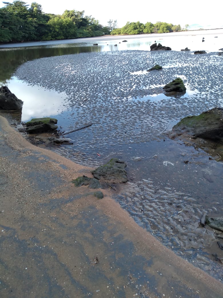Foto do grupo mostra a quantidade de minério de ferro na Praia de Camburi (Foto: Divulgação)