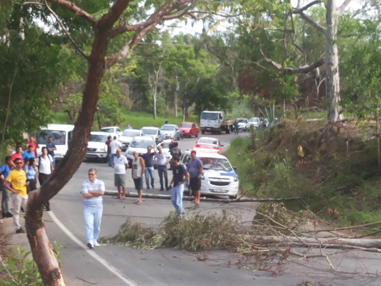 Galhos de árvore foram usados pelos moradores (Foto: Jocilaine Farina)