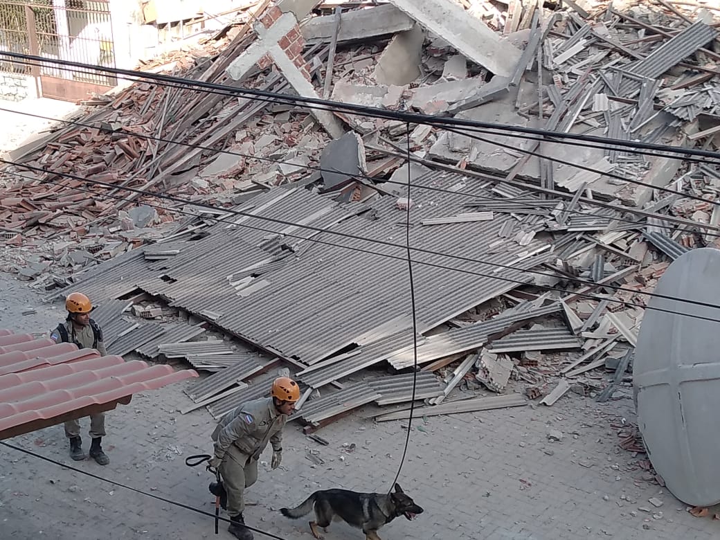 Cão ajuda nas buscas em prédio que desabou (Foto: Fábio Nunes/ AT/ 24/05/19)