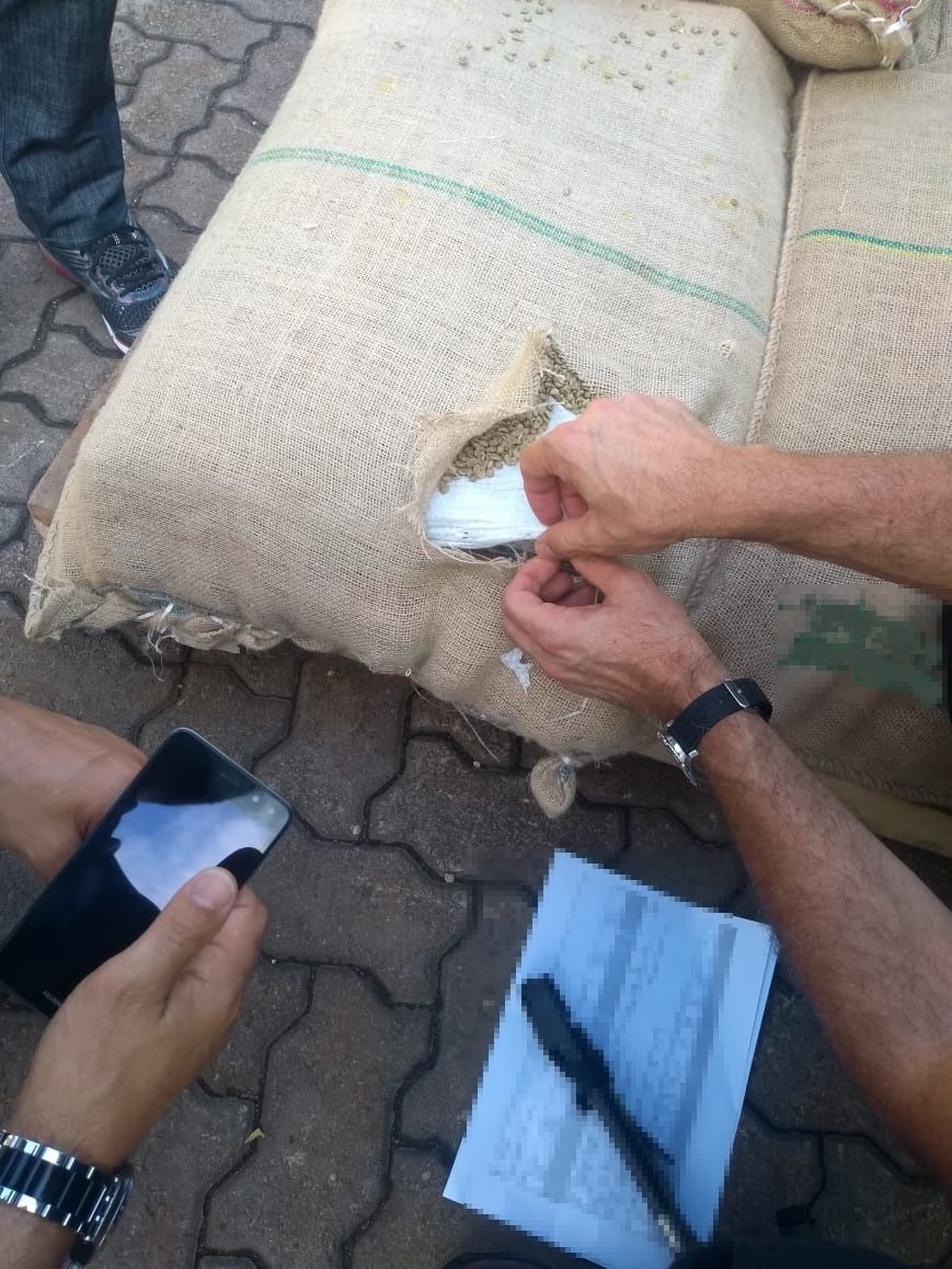 Ao abrir sacos de café, a equipe da Alfândega localizou a droga escondida no meio dos grãos (Foto: Divulgação/ Receita Federal)