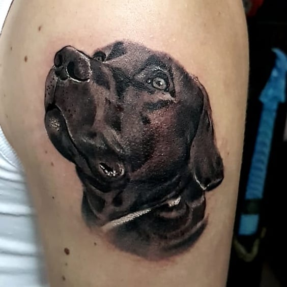 Para aliviar a saudade do animal, o tutor de Barney decidiu fazer uma tatuagem do animal (Foto: Reprodução/Instagram/@jean_grassi)