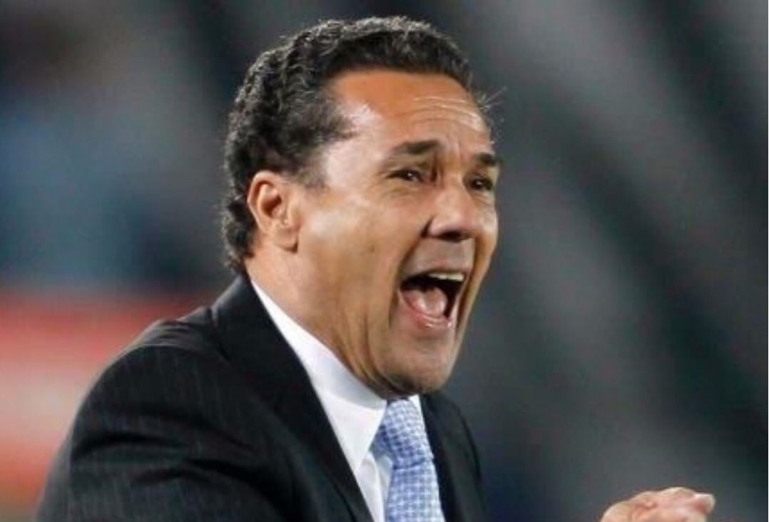 Vanderlei Luxemburgo (Foto: Divulgação)