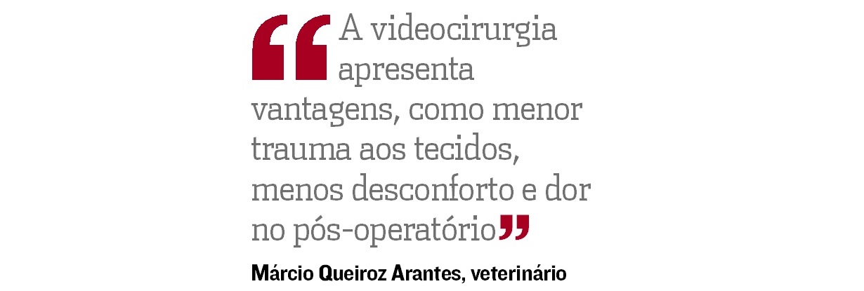(Foto: )