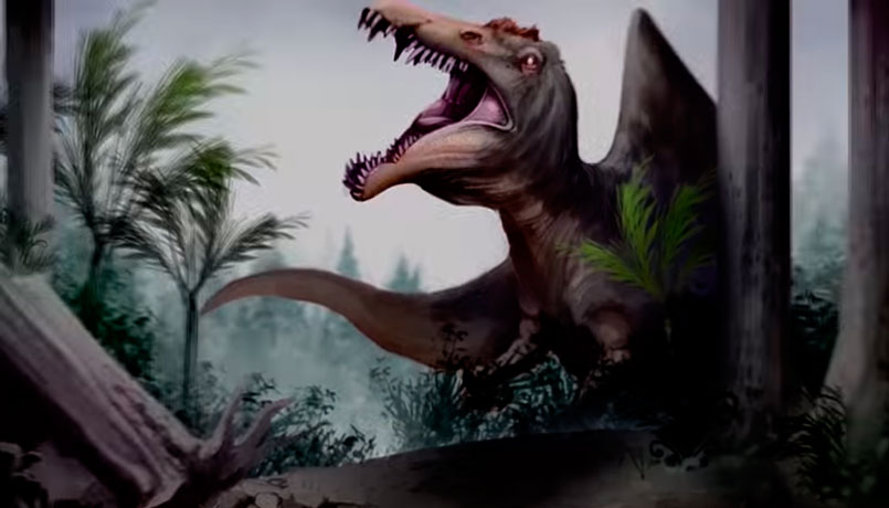 Com cerca de 100 milhões de anos, o Carcharodontosaurus é um dos maiores carnívoros de todos os tempos (Foto: Divulgação)