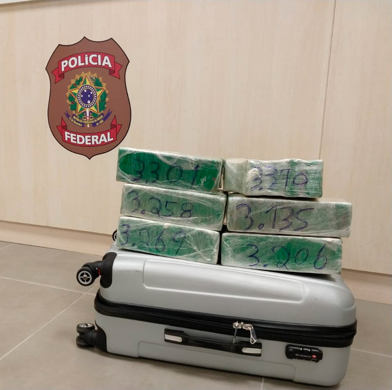 Pacotes com a droga estavam dentro de uma mala (Foto: Divulgação / PF)