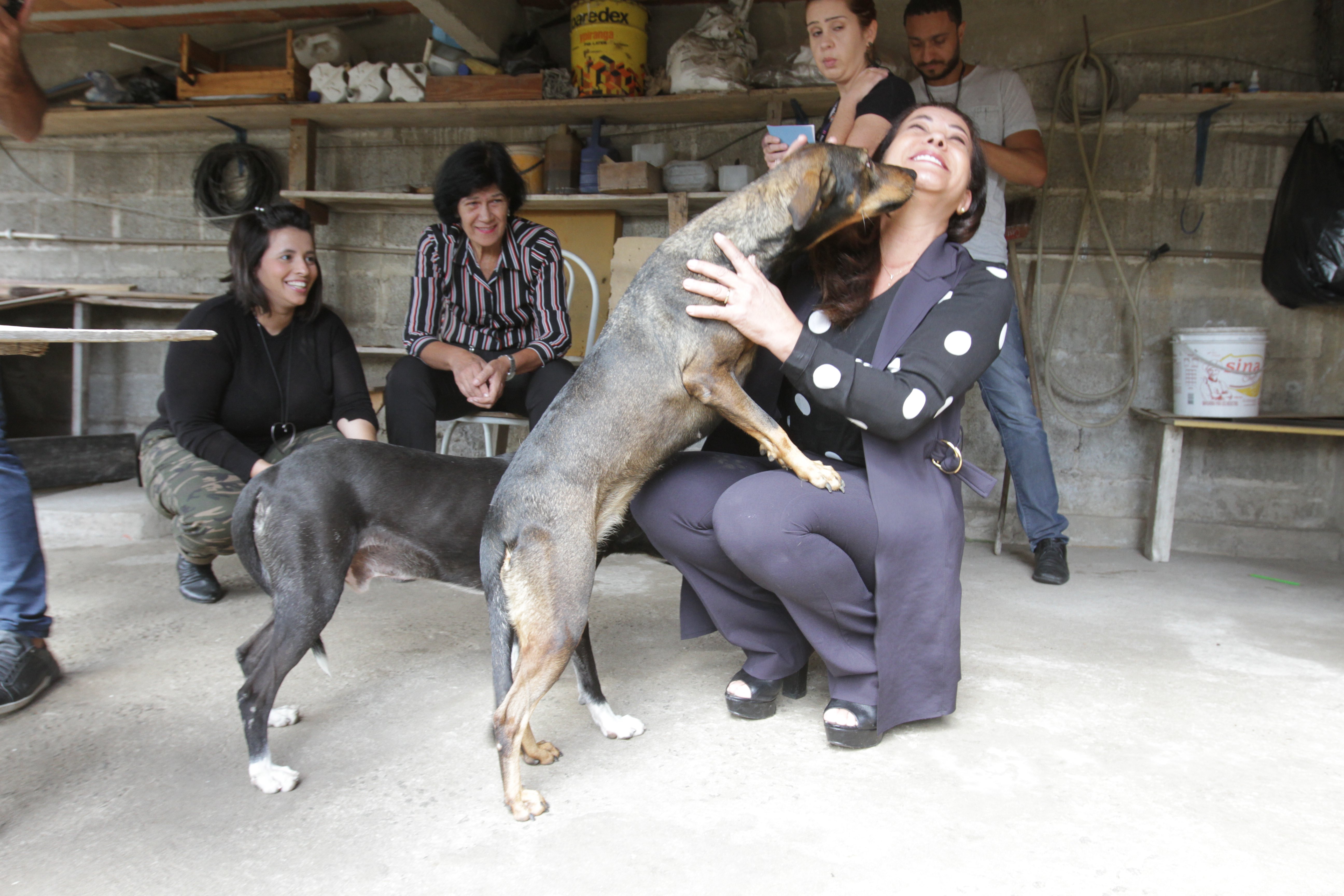 Janete de Sá em resgate de animais que estariam sofrendo maus-tratos (Foto: Antônio Moreira/AT)
