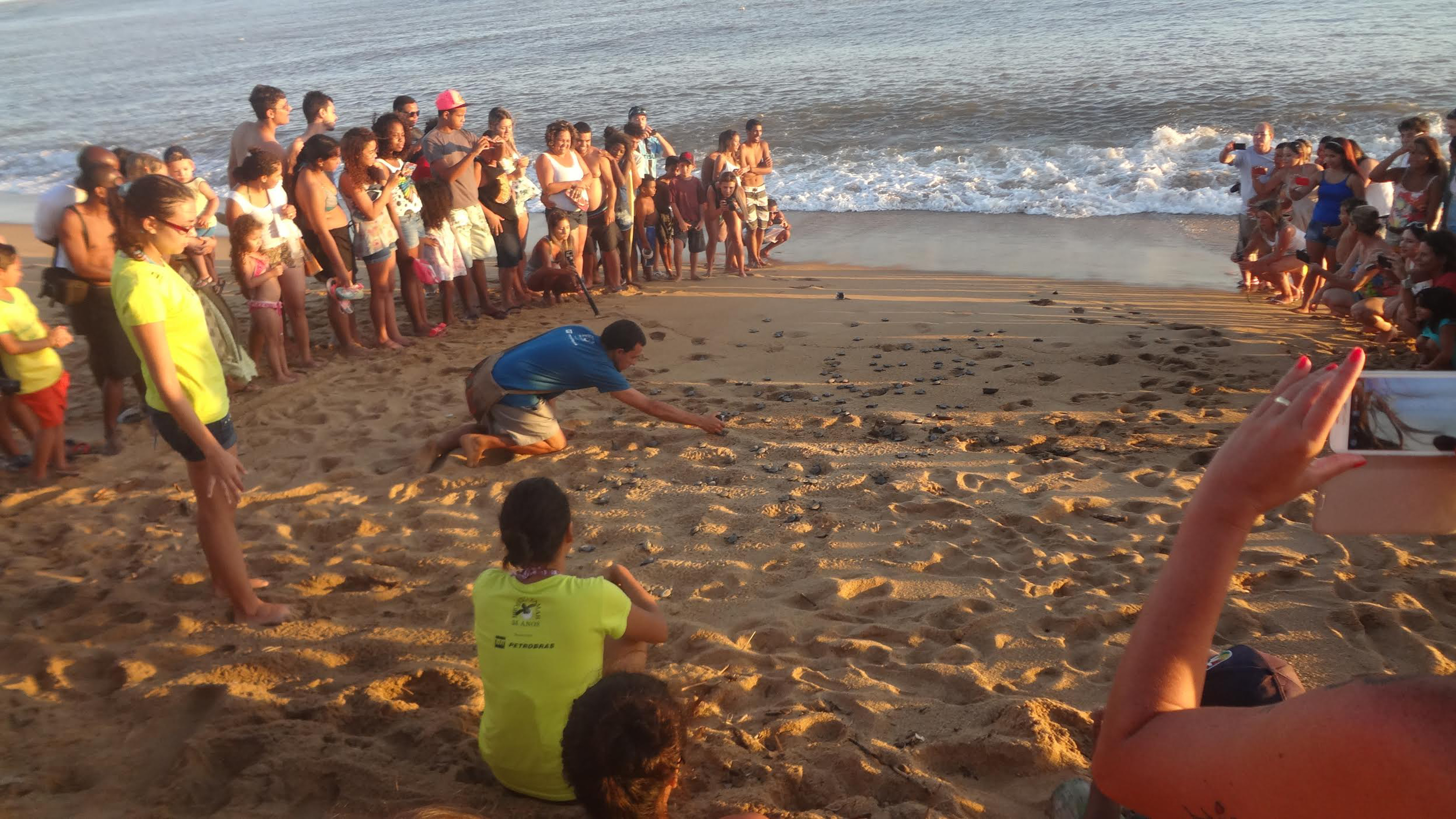 Soltura de filhotes de tartaruga marinha na Foz do Rio Doce, em Linhares (Foto: Wilton Junior/AT)