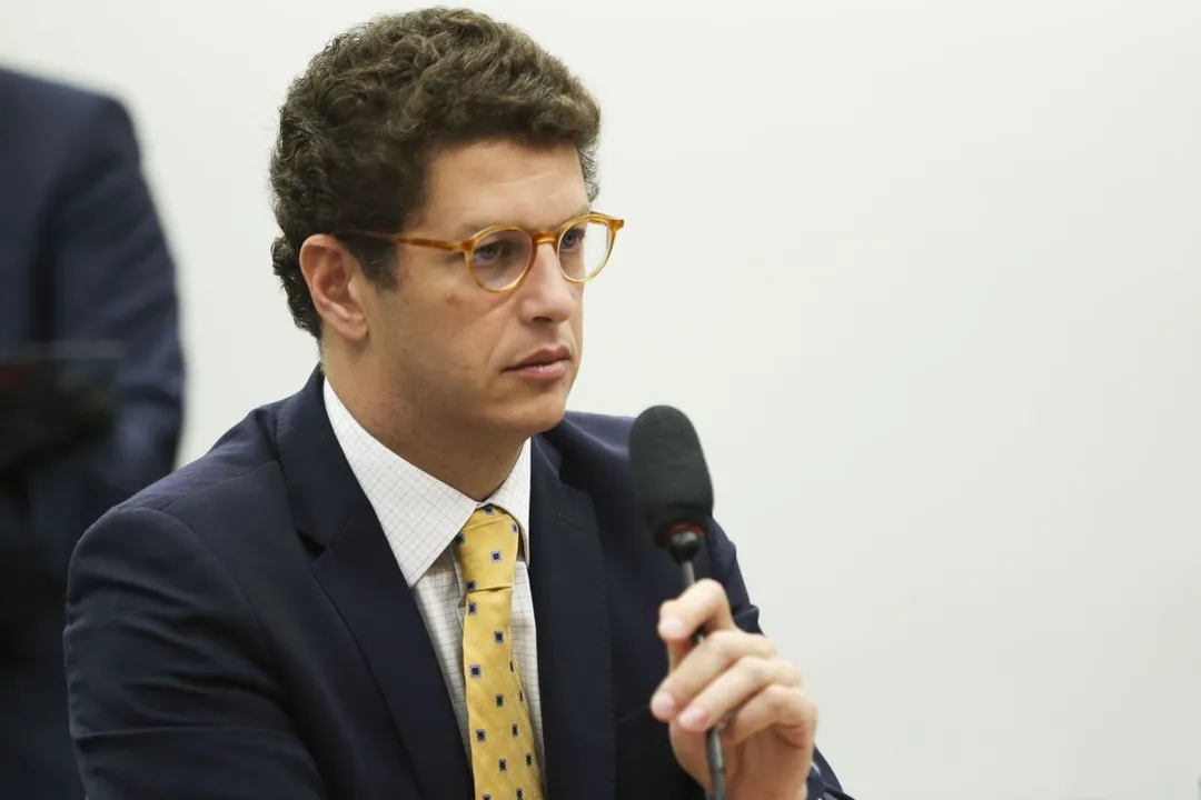 Imagem ilustrativa da imagem Entidades repudiam declarações de Salles sobre "passar a boiada"