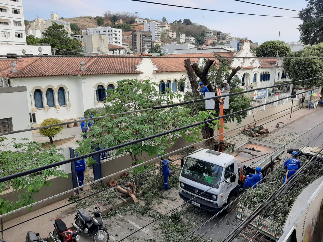 Moradores de Colatina reclamam de corte de árvores; prefeitura fala em serviço de poda (Foto: Foto do Leitor)