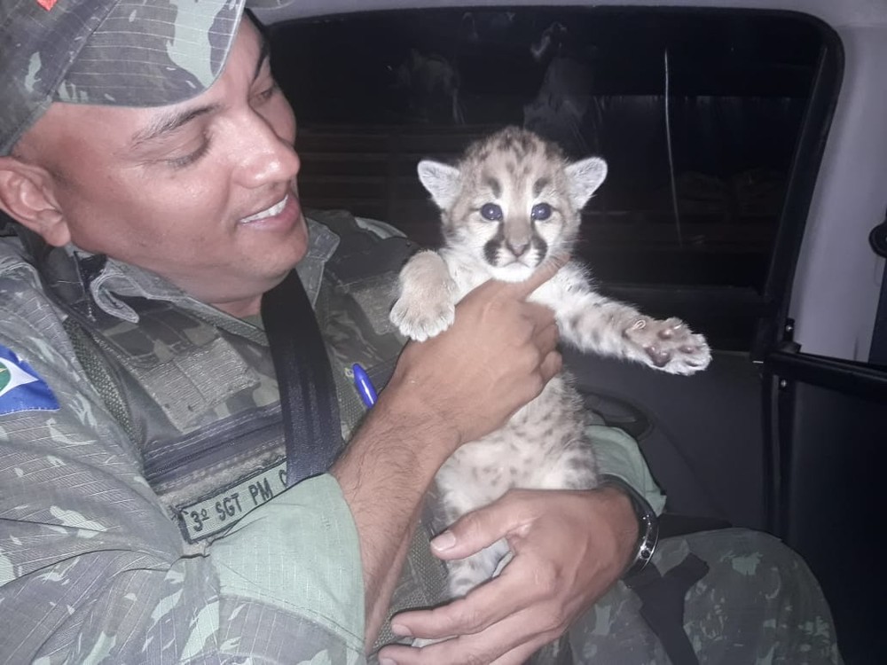 (Foto: Divulgação)