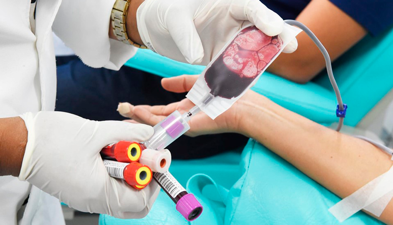 Doação de sangue (Foto: Divulgação / SESA)