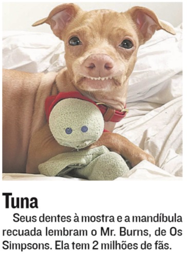 (Fotos: Divulgação)
