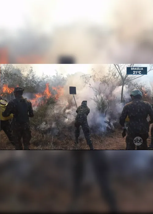 Imagem ilustrativa da imagem Área com alerta de desmatamento sobe 85% em 2019