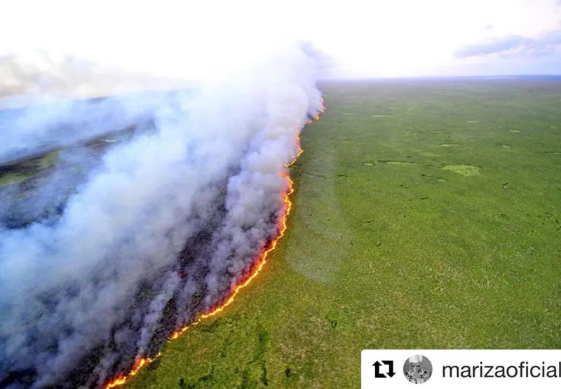 Imagem de incêndio em floresta foi compartilhada por famosos