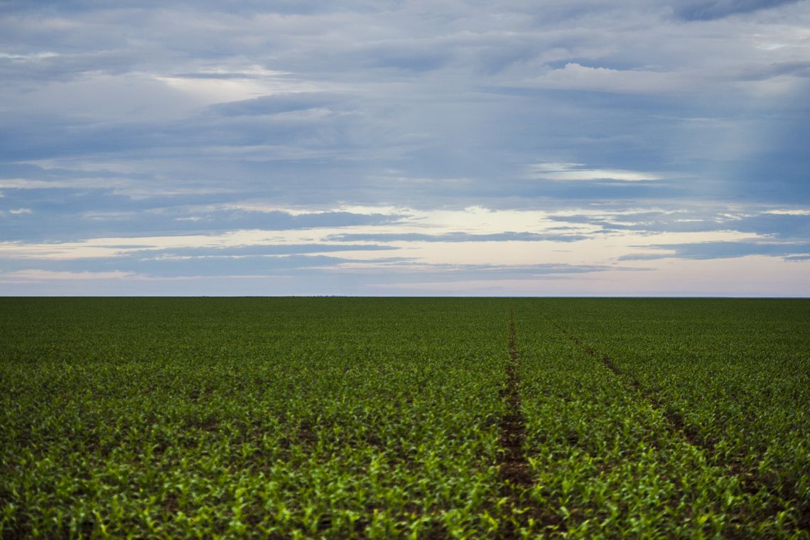 Ao todo, a lista compreende 1.942 agrotóxicos (Foto: Marcelo Camargo/ Agência Brasil)
