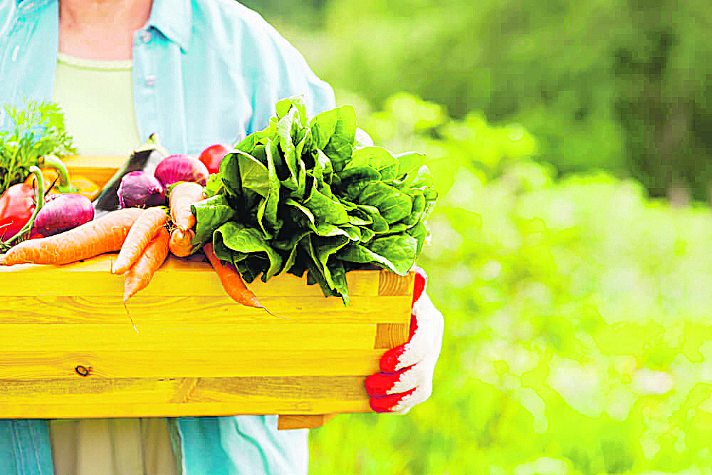 Priorize alimentos naturais (Foto: getty)