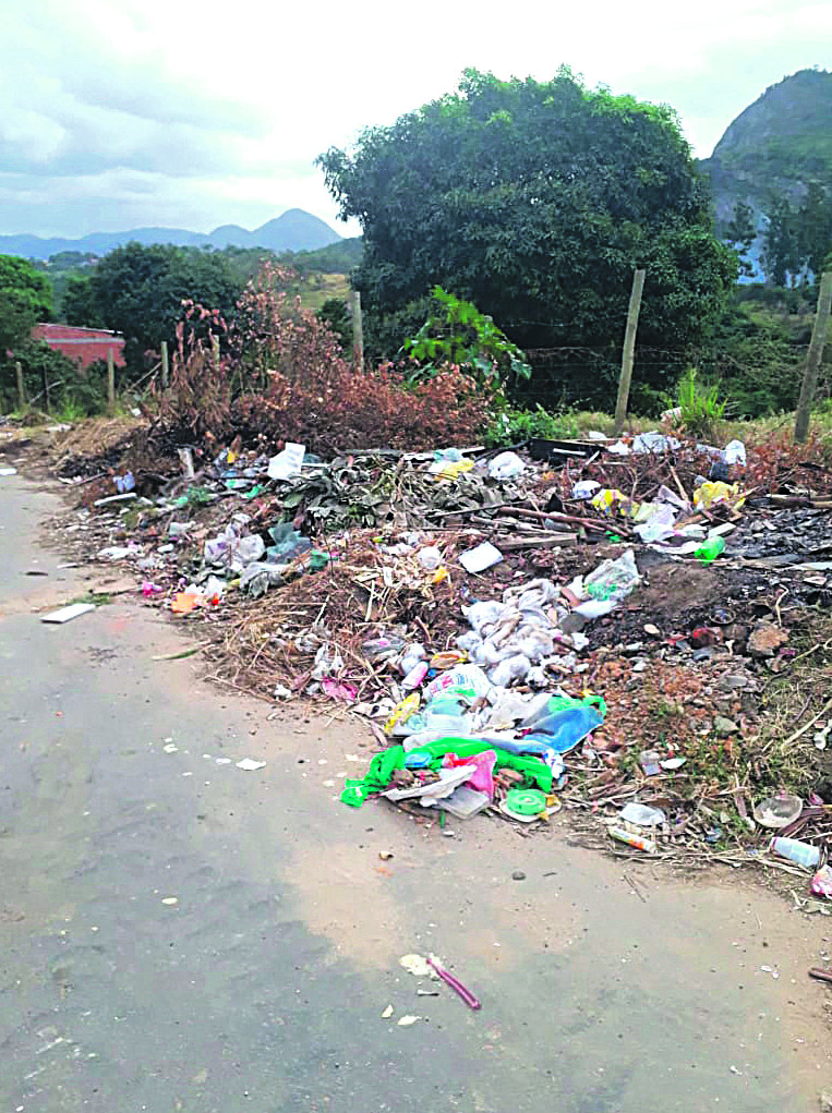 (Foto: Valdecir Parreira de Jesus)