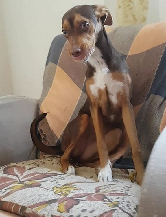(Foto: Reprodução/Acervo pessoal)