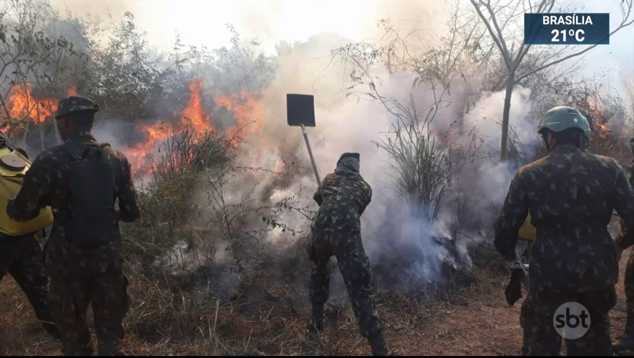 Em 2019, o Estado da Amazônia Legal com maior área com alertas de desmatamento foi o Pará, com 3.716 quilômetros quadrados, número 120,5% maior que em 2018. (Foto: Reprodução SBT)