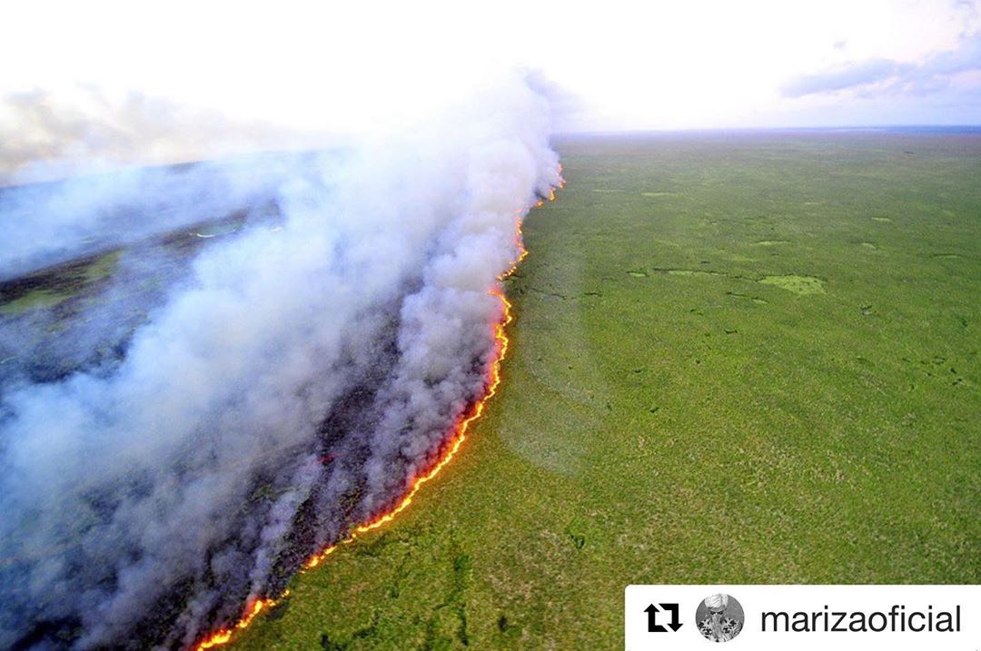 A floresta amazônica teve 6.803 focos de incêndio, contra 5.318 focos registrados em julho de 2019. (Foto: Reprodução / Instagram)