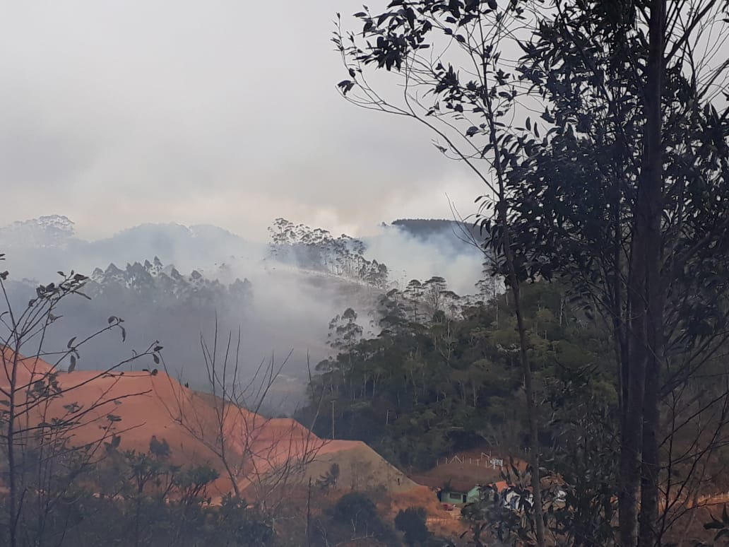 Fogo atingiu mata na região de Caravaggio (Foto: Leitor)