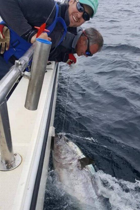 (Foto: Reprodução/Facebook (West Cork Charters))