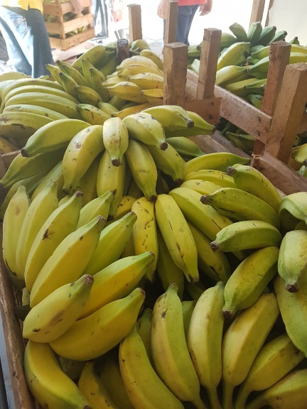 Produtos orgânicos serão comercializados na feira (Foto: Divulgação)