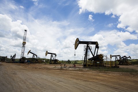 Campos terrestres no Espírito Santo (Foto: Luis Benedito / Agência Petrobras)