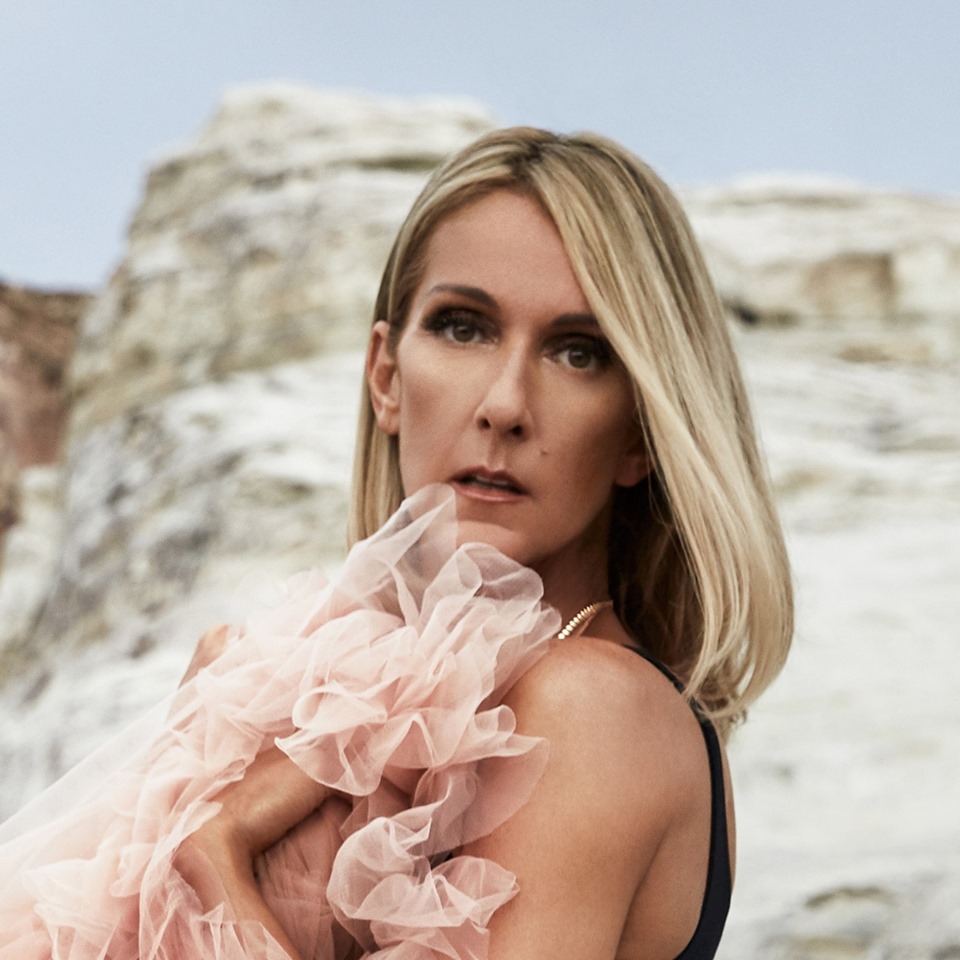 Céline Dion (Foto: Divulgação / Facebook)