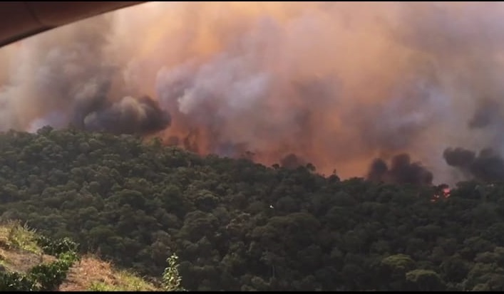 Fumaça toma conta de parte do parque (Foto: Reprodução de vídeo)