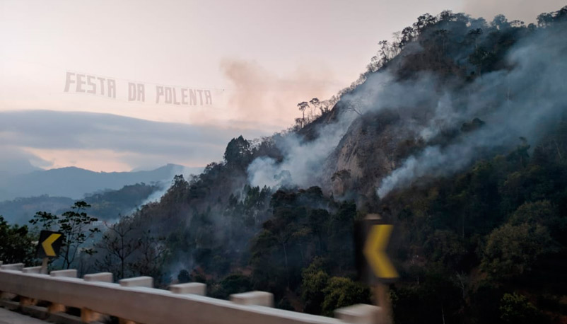 Incêndio destroi parte da vegetação em Venda Nova (Foto: Mônica Guimarães)