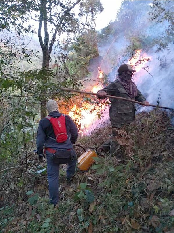 (Foto: Divulgação)