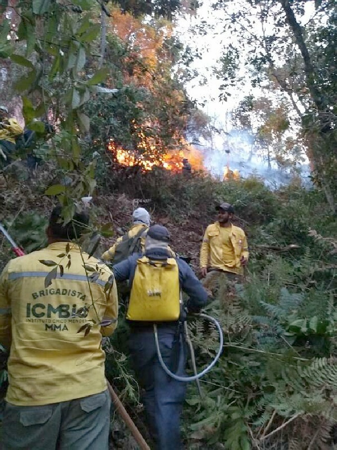 (Foto: Divulgação)