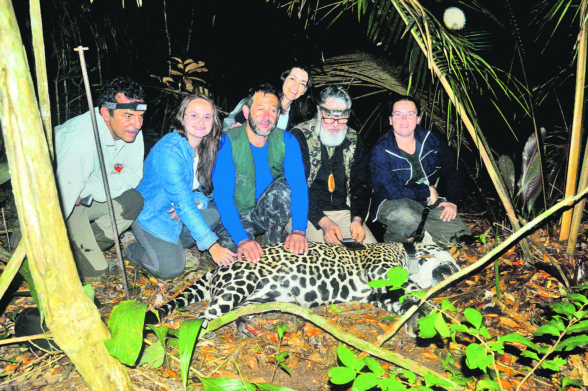 Pesquisadores com onça capturada (Foto: Divulgação/Hilton Entringer Júnior)