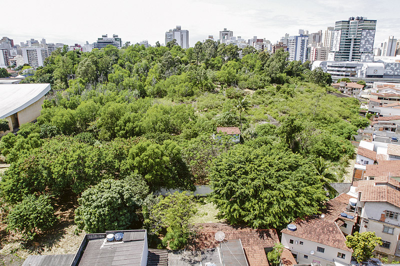 Vista da área onde está projetada para ser um parque municipal, na área do Morro do Marista, no Centro (Foto: Kadidja Fernandes/AT)