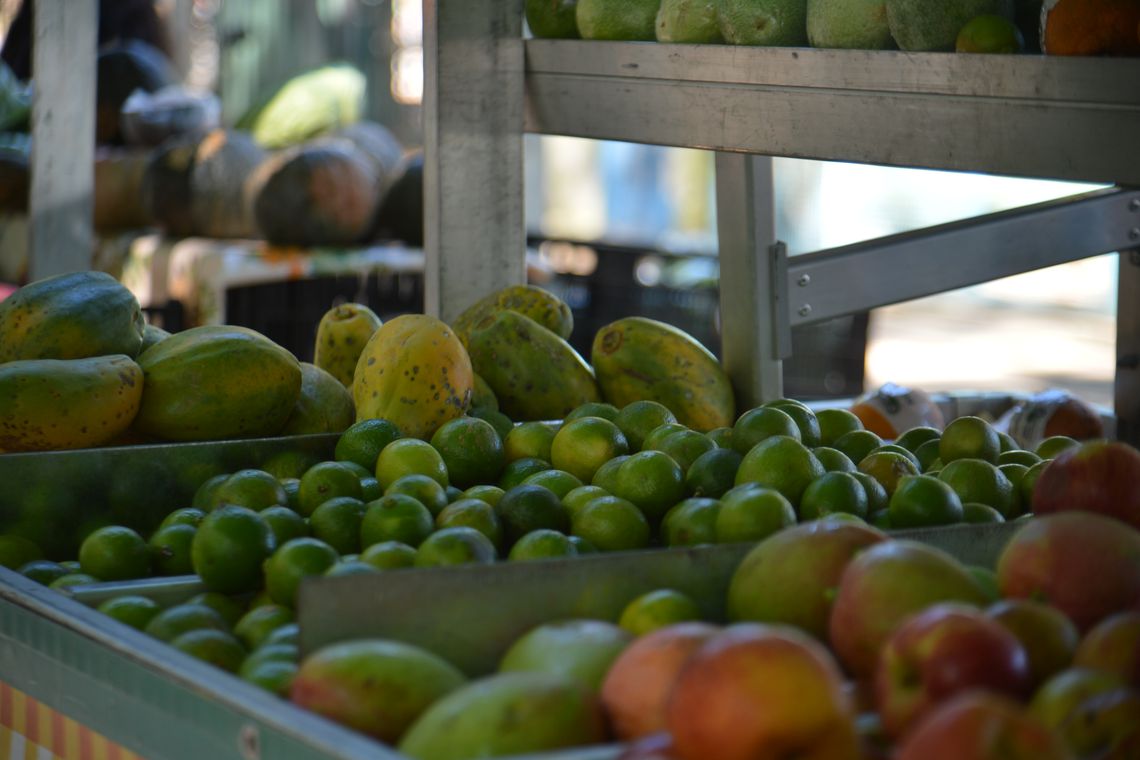 Os hortifrutis se mantêm na liderança de consumo no setor orgânico, sendo 35% frutas, 24% de verduras, 21% alface, 16% legumes, 15% tomate e 8% de hortaliças. (Foto: Rovena Rosa/Agência Brasil)